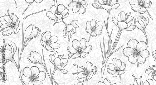 A delicate sketch of blooming cherry blossoms and slender branches on a textured background.