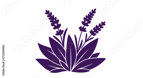 Purple lavender graphic, leaves & flower stalks on white