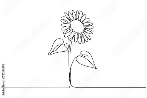 Sunflower continuous one line drawing minimalist flower outline icon illustration
