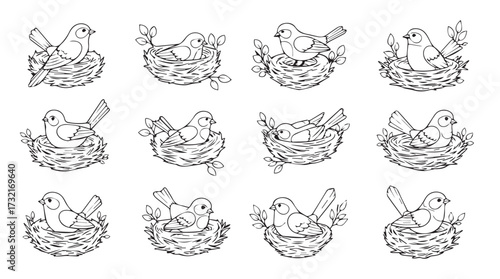 Charming spring collection of baby birds nestled in woven baskets detailed line art vector