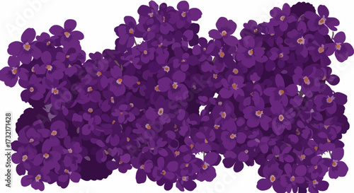 Grouping of violet flowers, close up