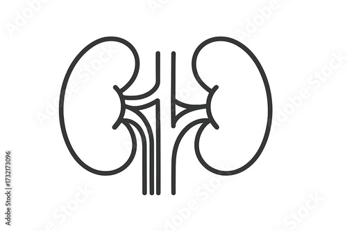 Human kidneys line icon for medical use. Urology and nephrology concept. Internal organ anatomy vector illustration. Renal system outline symbol for healthcare and science design.