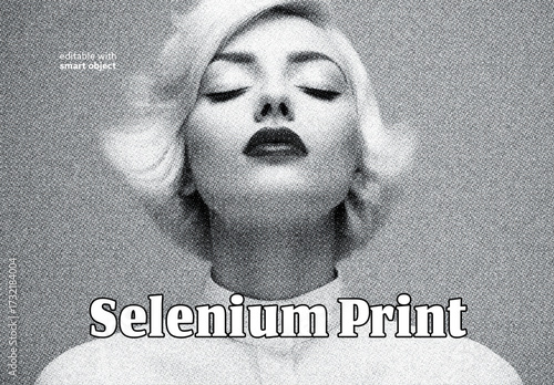 Selenium Tone Print Effect