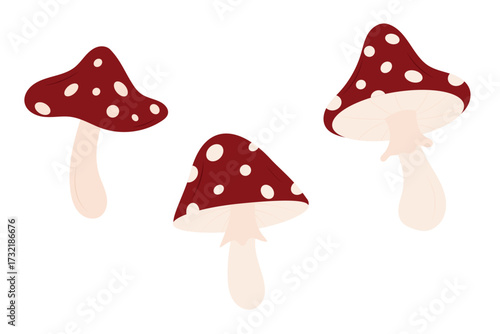 Set of red fly agaric mushroom isolated on white background. Concept of Autumn forest. Design element for greeting card, poster, banner, sticker. 
