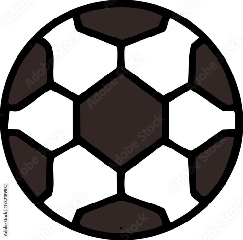 brazilian soccer football sports ball