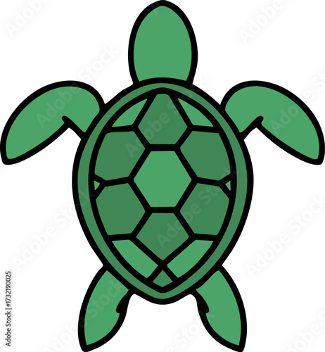 brazilian turtle shown from above