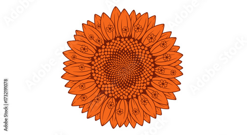 Orange sunflower illustration, repeating petal detail, brown center on white
