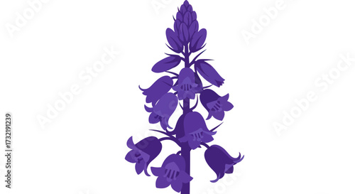 Tall stem of purple flowers