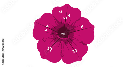 Magenta flower
