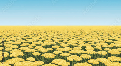 Vast field of yellow flowers under a clear blue sky, rendered in a pixelated, low-resolution style