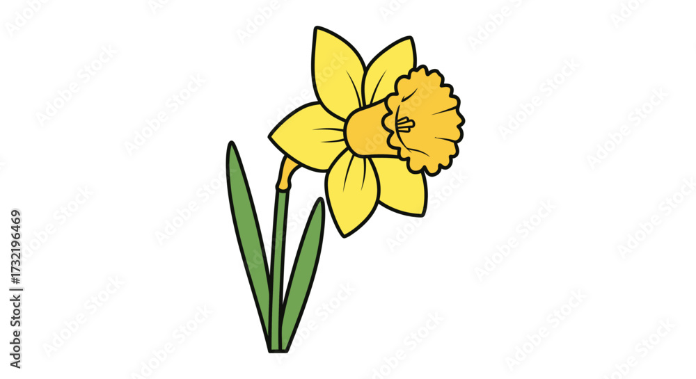 Fototapeta premium Single daffodil illustration, yellow blossom, green leaves
