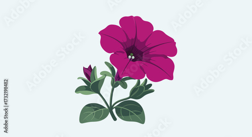 Magenta petunia with buds and leaves