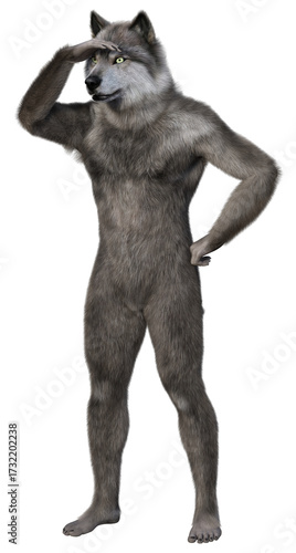 An anthropomorphic wolf or werewolf standing with hands above his eyes peering into the distance. 3d rendering on transparent background, no AI used