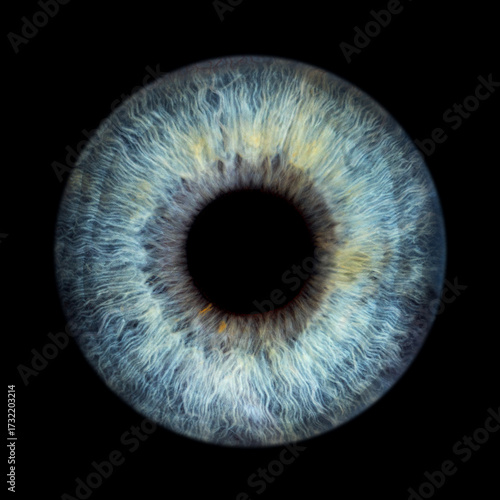 Iris Photography_Iris Macro blue_1