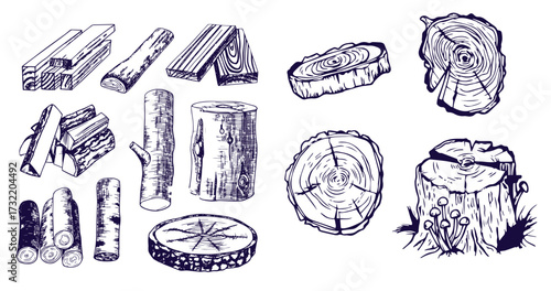 Wood rings. Round tree trunk cut with growth lines, wooden circle log with natural textured surface, carpentry material flat style. Vector isolated set