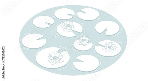 Water lilies and pads on a pond