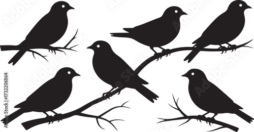 Six black bird silhouettes perched on bare tree branches against a white background vector