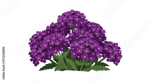 Isolated cluster of deep purple flowers with green leaves