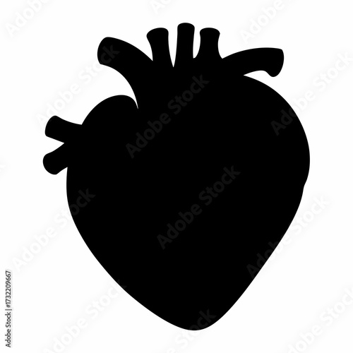 Simple anatomical heart silhouette on a white background creates an artistic vibe