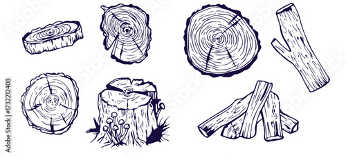 Wood rings. Round tree trunk cut with growth lines, wooden circle log with natural textured surface, carpentry material flat style. Vector isolated set