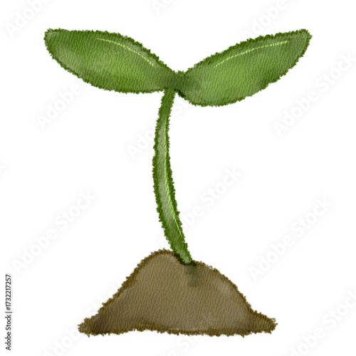 watercolor young plant
