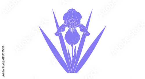 Light purple iris flower with sharp leaves on white backdrop
