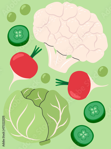 Vegetables poster for supermarket, kitchen, restaurant. Banner with cauliflower, cabbage, cucumber, radish. Culinary ingredients, organic food products, agricultural harvest. Flat vector illustration