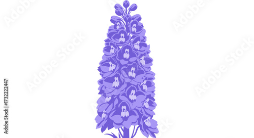 Upright stalk with layered, symmetrical, purple florets on white