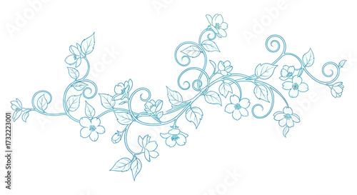 Delicate floral vine design, aqua outline