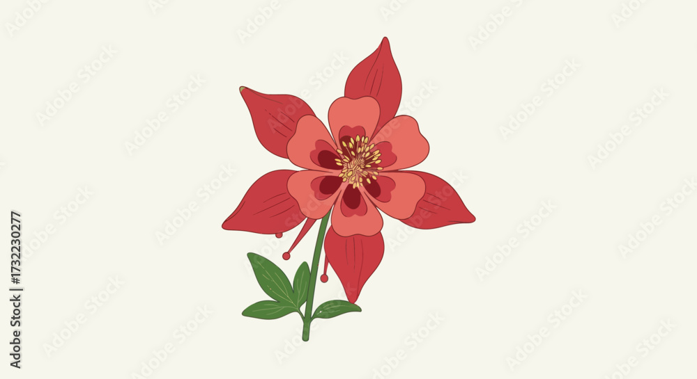 Fototapeta premium Red columbine flower with green leaves on a plain background