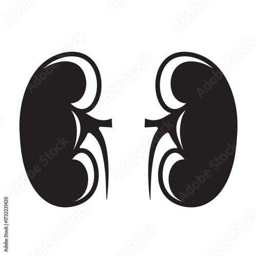 black and white silhouette of Kidneys vector on white background