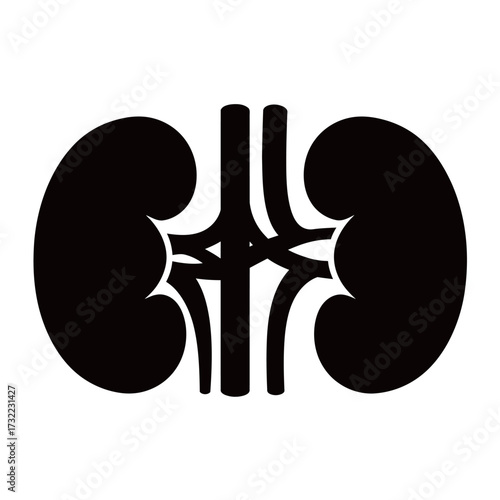 black and white silhouette of Kidneys vector on white background