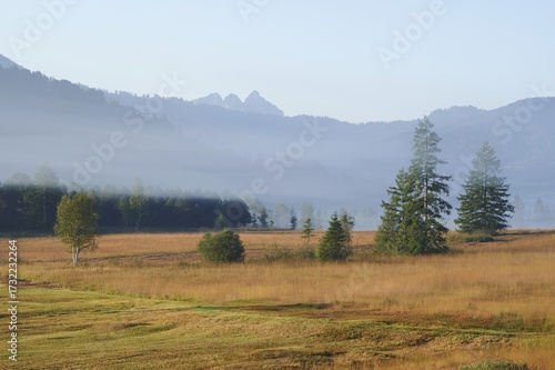 High moor in autumnal discolouration, Rothenthurm, Canton Schwyz, Switzerland