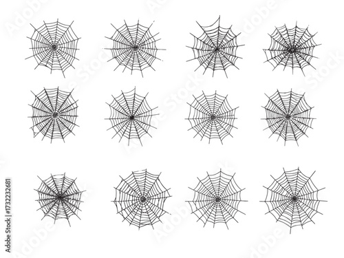 Spider Web Vintage Engraved Spooky Illustration Isolated Vector Artwork