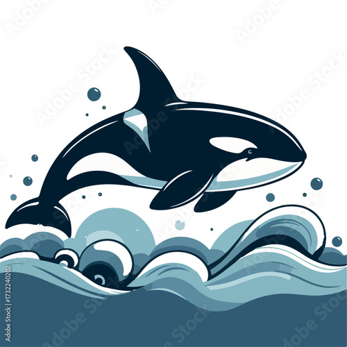 vector illustration of an orca whale on sea