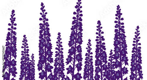 Graphic illustration of purple flower stalks on a white background