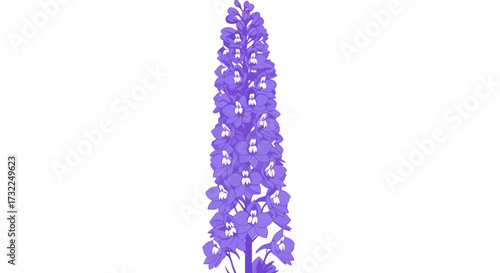 Purple-toned flower spike with small white center petals