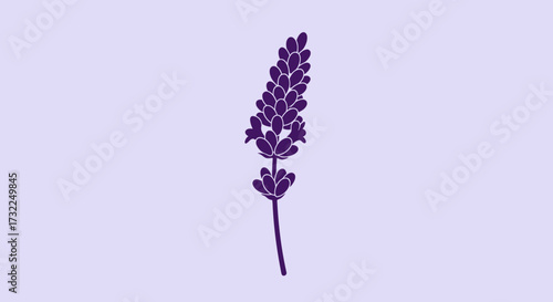 Purple lavender sprig, upright on light purple field