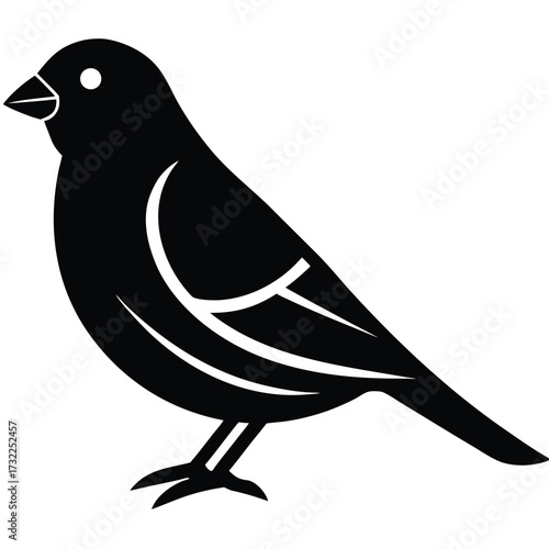 canary vector icon on white background