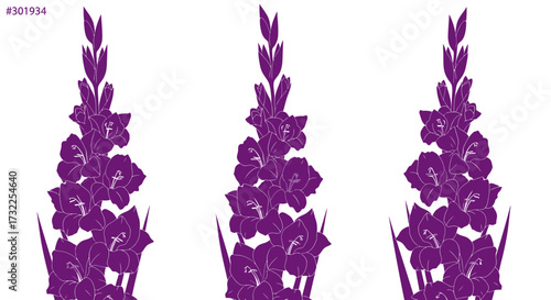 Three purple gladiolus flower stalks on white