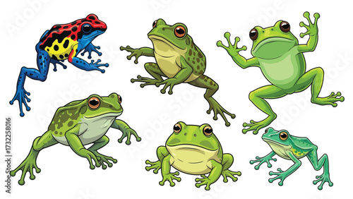 A collection of six cartoon frogs, including a vibrant poison dart frog and several green frogs in various poses, isolated on a white background.