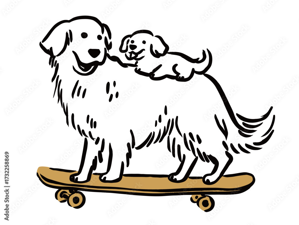 Fototapeta premium A large dog happily rides a skateboard with a small puppy balancing on its back. Both dogs look cheerful and playful, enjoying their time together outdoors.