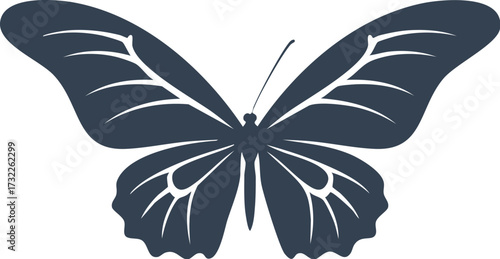 butterfly, insect, nature, wing, wings, beauty, swallowtail, fly, moth, summer, black, illustration, macro, vector, spring, design, flower, animal, pattern, yellow, 