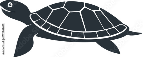 vector, internet, design, web, global, logo, business, network, sport, 3d