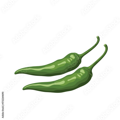 Two fresh green chili peppers on a white background for culinary purposes.