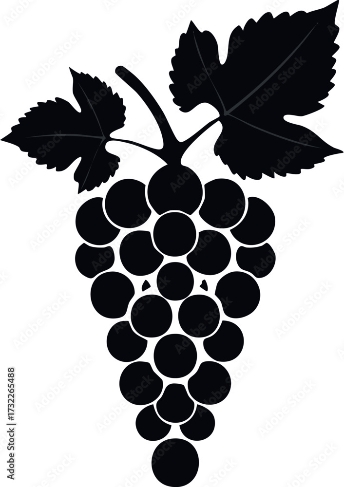 Obraz premium grape, fruit, vine, leaf, grapes, wine, bunch, food, berry, vector, ripe, plant, nature, illustration, branch, green, grapevine, vineyard, sweet, harvest, agriculture, fresh, 