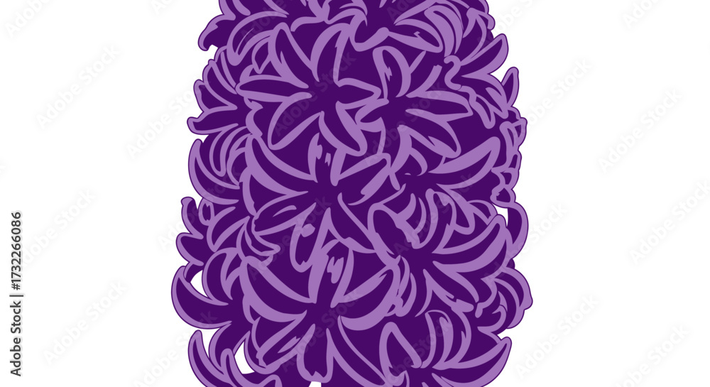 Fototapeta premium Stylized hyacinth in two purple shades against a white background