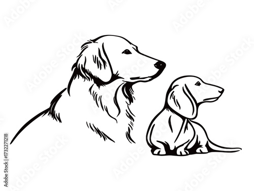 This artistic drawing features a large golden retriever and a small dachshund sitting side by side. Their expressions show a bond of friendship and loyalty.