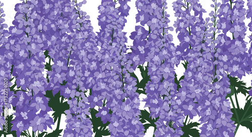 Dense illustration of purple delphinium flowers against a white background