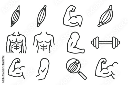 Human muscle anatomy and fitness line icon collection. Simple vector symbols for gym, workout, health and sport. Biceps, strong arm, torso, abs, dumbbell outline icons set.